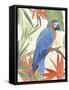 Tropical Parrot Composition IV-Annie Warren-Framed Stretched Canvas