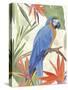 Tropical Parrot Composition IV-Annie Warren-Stretched Canvas