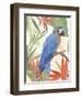 Tropical Parrot Composition IV-Annie Warren-Framed Art Print