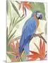 Tropical Parrot Composition IV-Annie Warren-Mounted Art Print