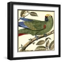 Tropical Parrot I-Martinet-Framed Art Print