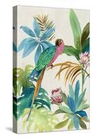 Tropical Parrot I-Aimee Wilson-Stretched Canvas