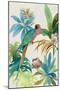 Tropical Parrot I-Aimee Wilson-Mounted Art Print