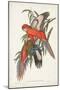 Tropical Parrots I-John Gould-Mounted Art Print