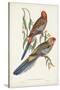 Tropical Parrots II-John Gould-Stretched Canvas