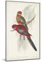 Tropical Parrots III-John Gould-Mounted Art Print