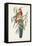 Tropical Parrots IV-John Gould-Framed Stretched Canvas