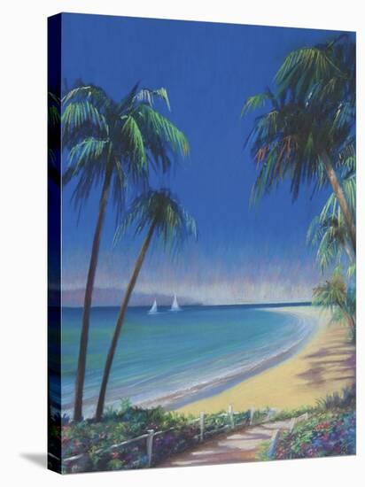 Tropical Path I-Fred Fieber-Stretched Canvas