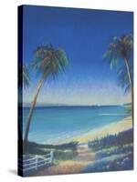 Tropical Path II-Fred Fieber-Stretched Canvas