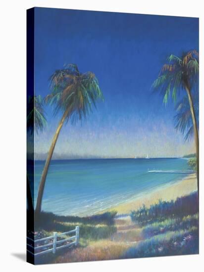 Tropical Path II-Fred Fieber-Stretched Canvas