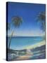 Tropical Path II-Fred Fieber-Stretched Canvas