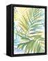 Tropical Pattern I-Megan Meagher-Framed Stretched Canvas