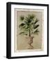 Tropical Persuasion II-Welby-Framed Art Print