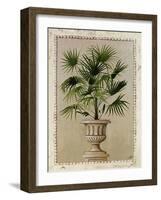 Tropical Persuasion II-Welby-Framed Art Print