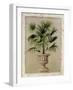 Tropical Persuasion II-Welby-Framed Art Print