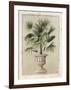 Tropical Persuasion II-Welby-Framed Art Print