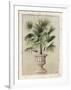 Tropical Persuasion II-Welby-Framed Art Print