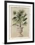 Tropical Persuasion II-Welby-Framed Art Print