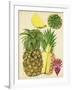 Tropical Pineapple Study I-Melissa Wang-Framed Art Print