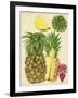 Tropical Pineapple Study I-Melissa Wang-Framed Art Print