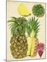 Tropical Pineapple Study I-Melissa Wang-Mounted Art Print