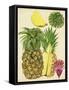Tropical Pineapple Study I-Melissa Wang-Framed Stretched Canvas