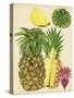 Tropical Pineapple Study I-Melissa Wang-Stretched Canvas