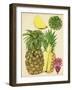 Tropical Pineapple Study I-Melissa Wang-Framed Art Print