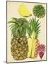 Tropical Pineapple Study I-Melissa Wang-Mounted Art Print