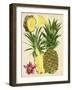 Tropical Pineapple Study II-Melissa Wang-Framed Art Print
