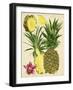 Tropical Pineapple Study II-Melissa Wang-Framed Art Print