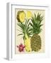 Tropical Pineapple Study II-Melissa Wang-Framed Art Print