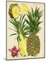 Tropical Pineapple Study II-Melissa Wang-Mounted Art Print