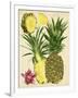 Tropical Pineapple Study II-Melissa Wang-Framed Art Print