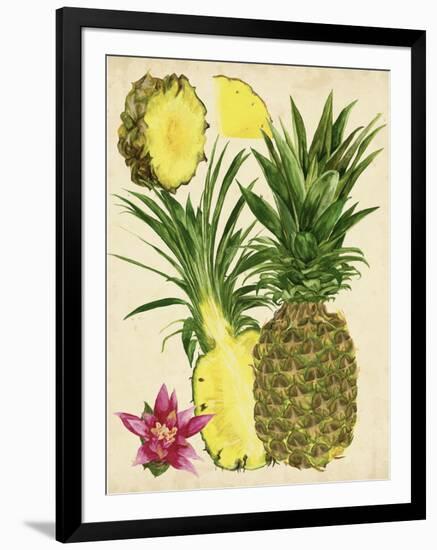 Tropical Pineapple Study II-Melissa Wang-Framed Art Print