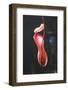 Tropical Pitcher Plant-DLILLC-Framed Photographic Print