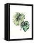 Tropical Plant II-Grace Popp-Framed Stretched Canvas