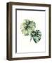 Tropical Plant II-Grace Popp-Framed Art Print