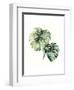 Tropical Plant II-Grace Popp-Framed Art Print