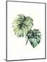 Tropical Plant II-Grace Popp-Mounted Art Print