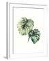 Tropical Plant II-Grace Popp-Framed Art Print