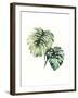 Tropical Plant II-Grace Popp-Framed Art Print