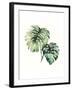 Tropical Plant II-Grace Popp-Framed Art Print