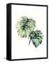 Tropical Plant II-Grace Popp-Framed Stretched Canvas