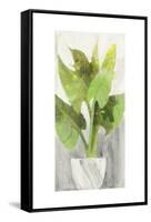 Tropical Planter I-Albena Hristova-Framed Stretched Canvas