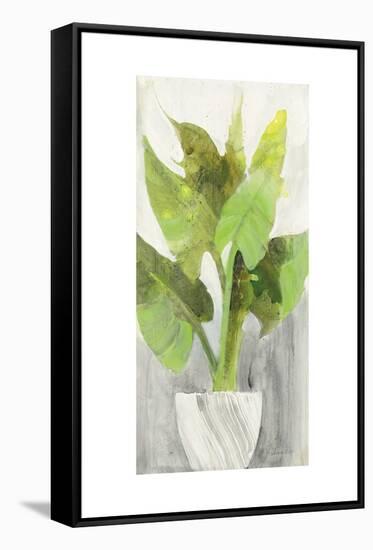 Tropical Planter I-Albena Hristova-Framed Stretched Canvas