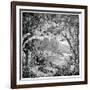 Tropical Plants And Reptiles-Science Photo Library-Framed Photographic Print