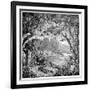 Tropical Plants And Reptiles-Science Photo Library-Framed Photographic Print