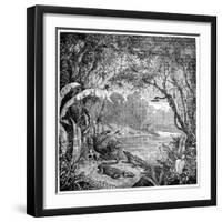 Tropical Plants And Reptiles-Science Photo Library-Framed Photographic Print