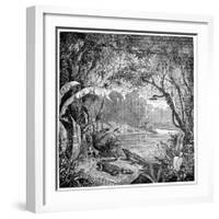 Tropical Plants And Reptiles-Science Photo Library-Framed Photographic Print